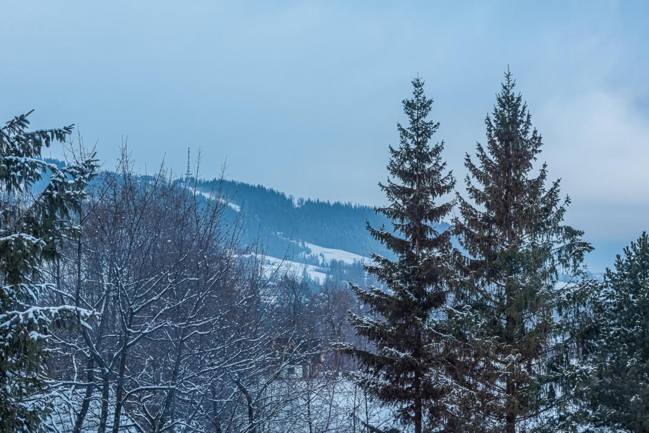 Zakopianskie Widoki Zakopane Exteriér fotografie